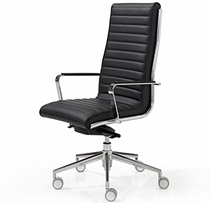 Silla de dirección ergonómica Trinity de Dile Office