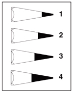 Tipos de afilado con afilalápices